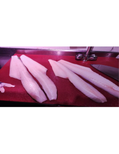 MERLUZA  (Volanta) 2