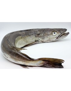 MERLUZA Pinxo