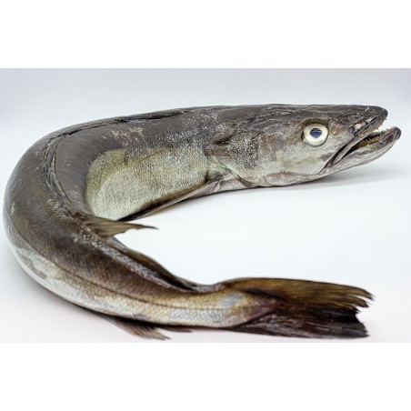 MERLUZA Pinxo