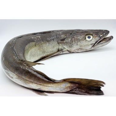 MERLUZA Pinxo