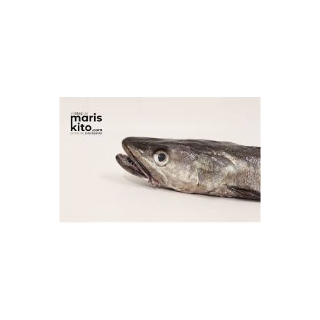Meta title-Nano